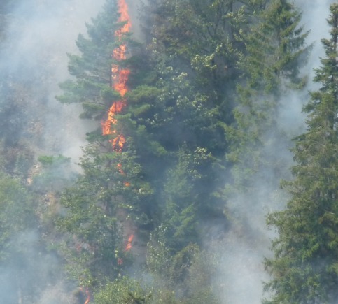 Incendiu Toroioaga 20 aug